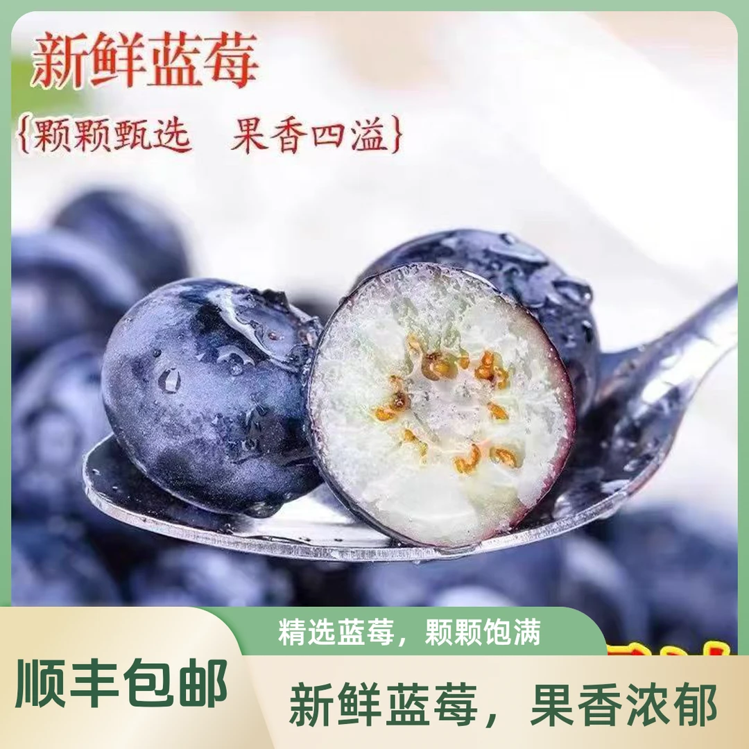 【顺丰包邮】新鲜蓝莓云南蓝莓露天种植现摘现发高原蓝莓顺丰次日达