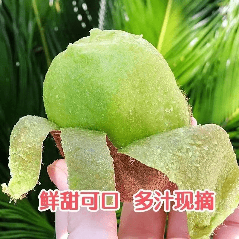 新鲜猕猴桃现摘现发绿心猕猴桃湖北宜昌新鲜猕猴桃基地直发猕猴桃