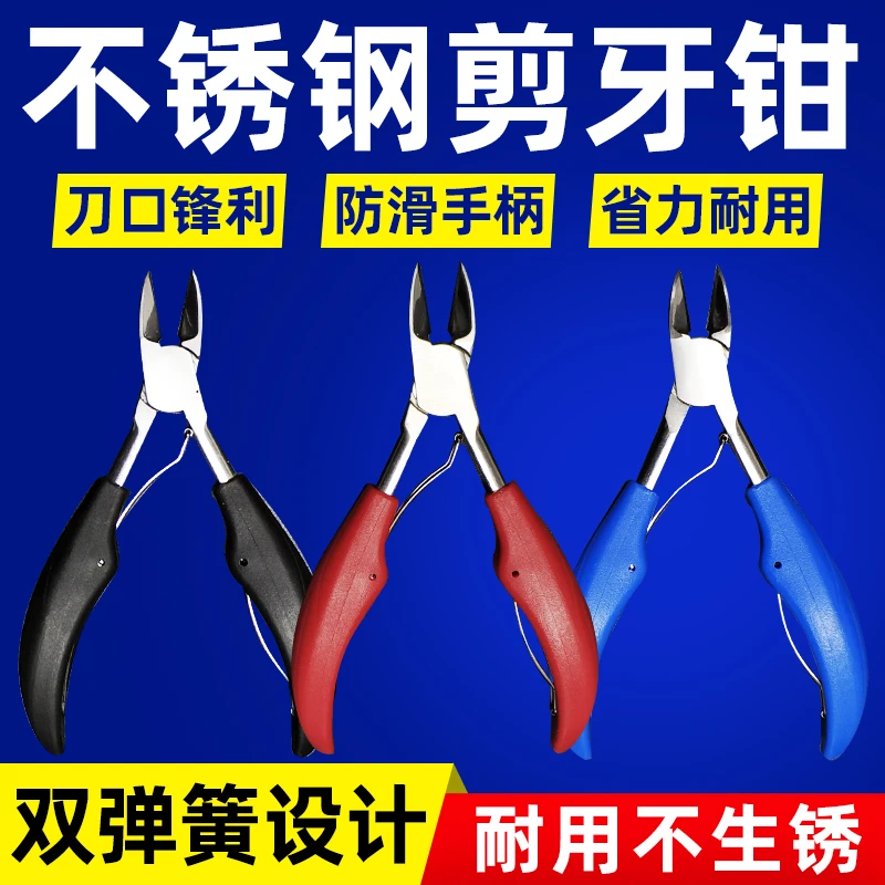 不锈钢兽用剪牙钳小猪用剪牙钳剪齿钳牙剪仔猪羊兔子剪牙器