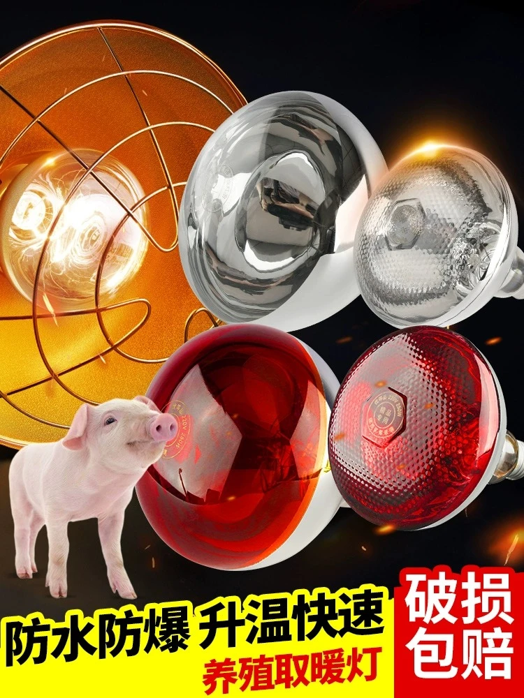 养殖保温灯猪用小猪保暖灯烤灯加厚加温灯泡养殖鸡鸭兽用猪舍灯