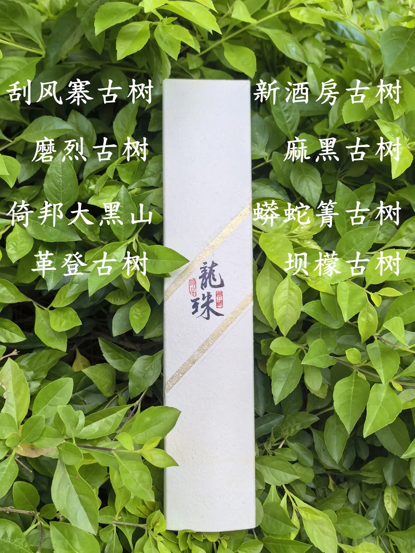 【品鉴装】2024年八大茶山古树生茶龙珠组合装64g