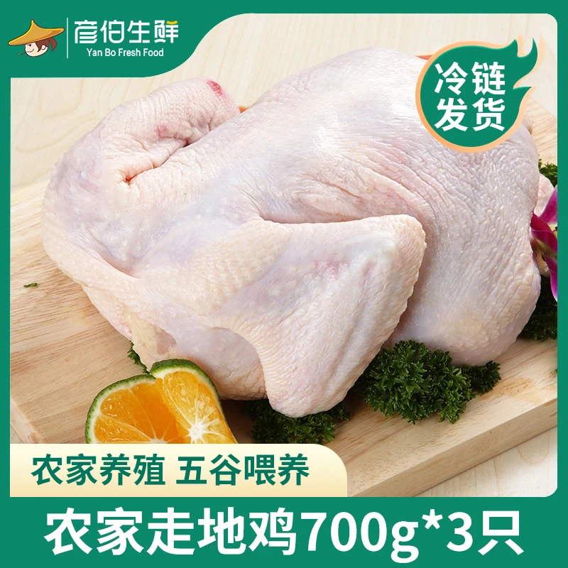 彦伯山东农家走地鸡土鸡净膛整鸡700-750g/只拍一发3只新鲜食材