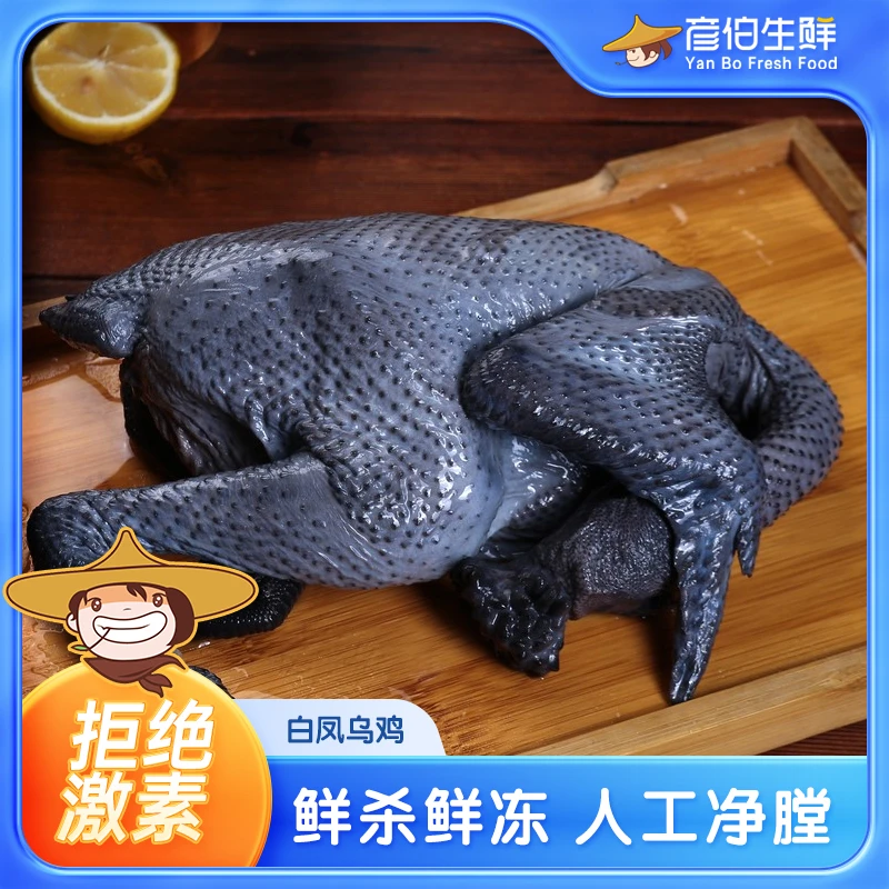 彦伯乌骨鸡白凤乌鸡750g/只*3肉质鲜嫩营养乌鸡礼盒装