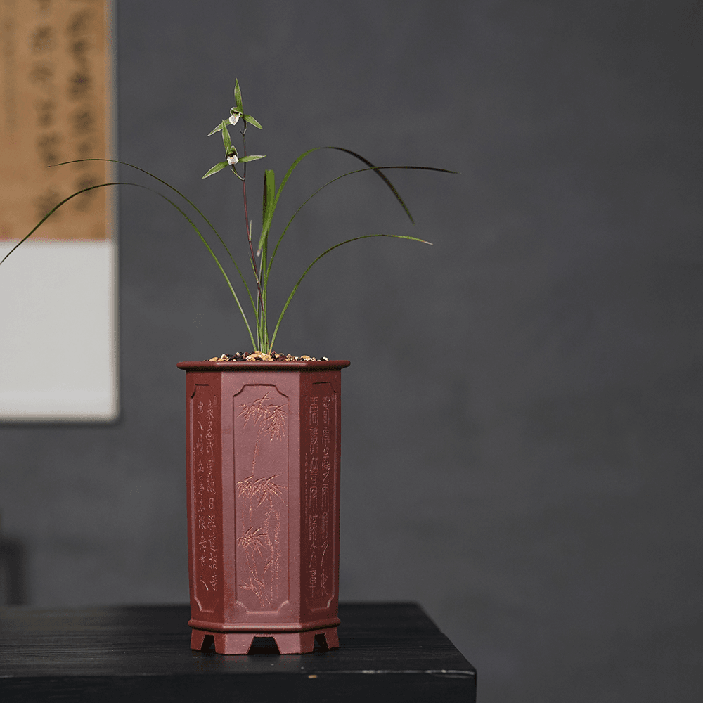 应小清高档紫砂花盆宜兴精品六方凹奎高千筒细苗兰花植物盆景桌面