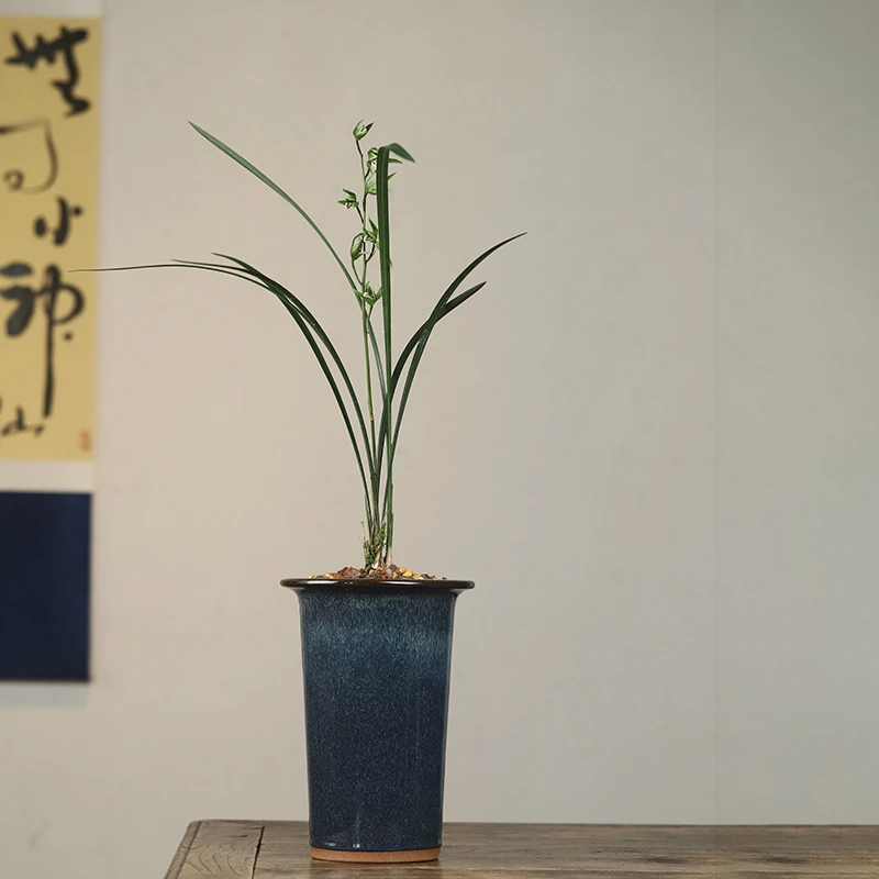 秦夕洪海鼠釉兰花盆宜兴精品紫砂春兰寒兰建兰植物桌面简约阳台盆