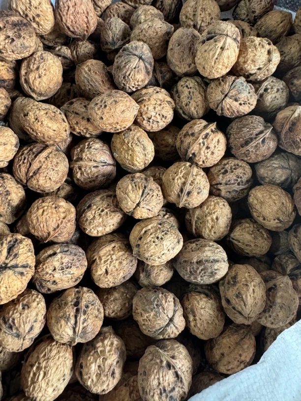 恩施高山农家原生态野生核桃
