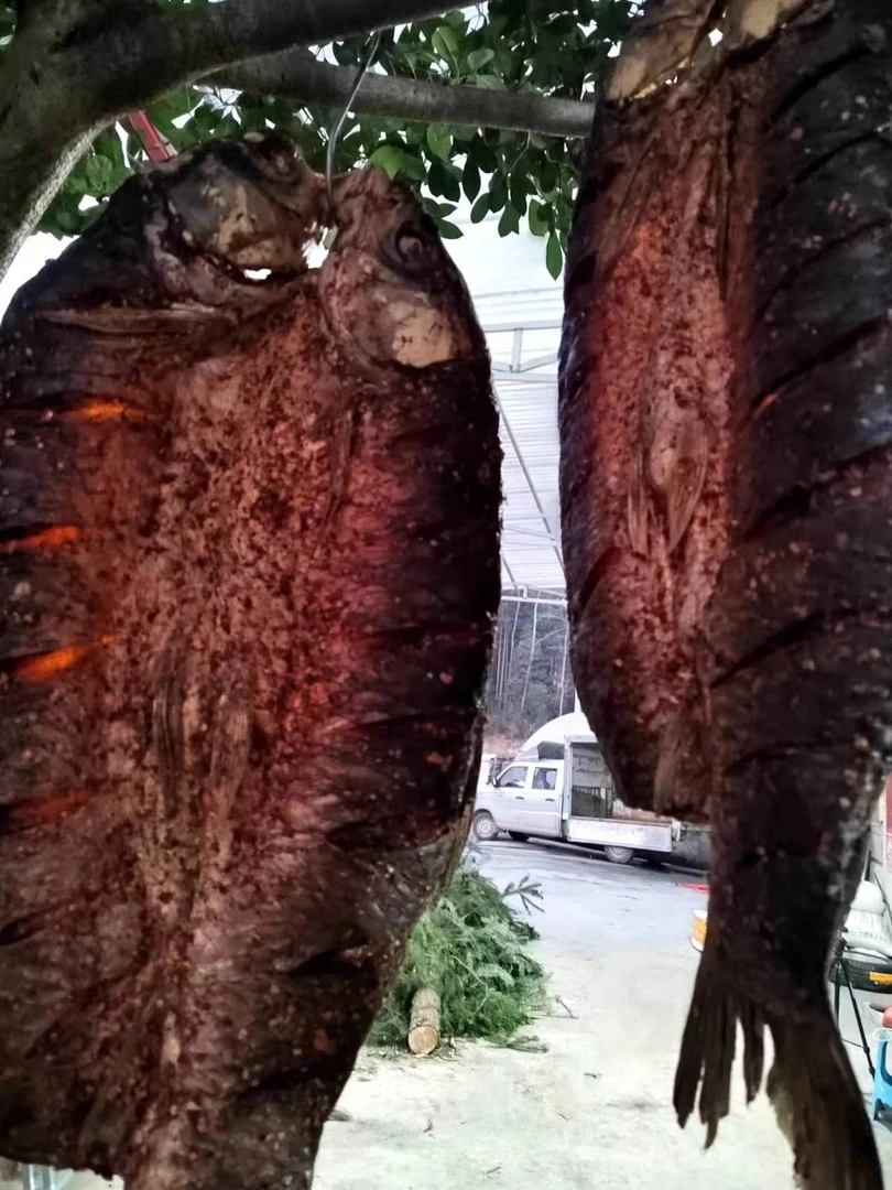 恩施农家自制柴火腊鱼