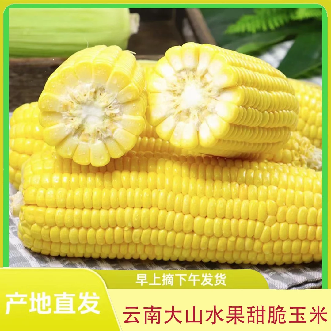 云南大山水果甜脆玉米包邮 一个小果（钓鱼果）