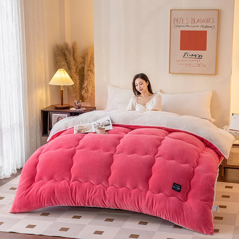 欧亚莎-AAA+牛奶绒羊羔绒棉被被子春秋冬款被芯被子加厚冬被学生