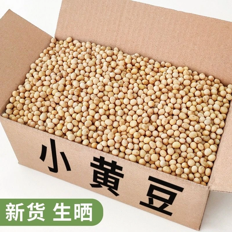 皖南农家自种小黄豆绿豆毛豆大豆打豆浆专用黄豆五谷杂粮东北黄豆