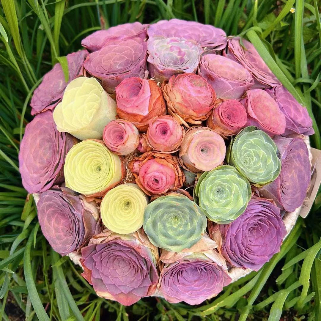 山地玫瑰组合套餐贵货多肉植物水蜜桃办公室客厅桌面阳台新手好养