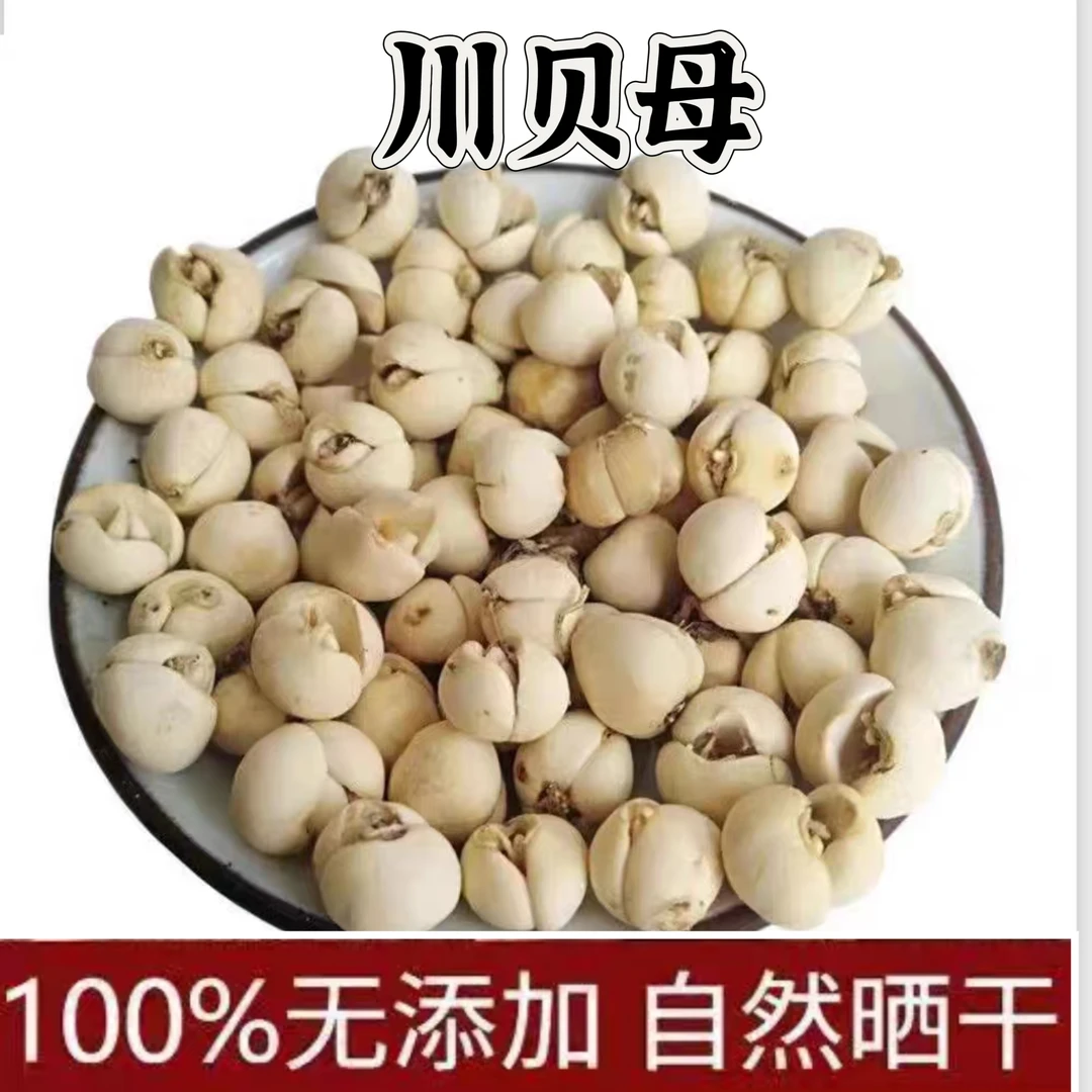 【感感中标茶】正宗川贝四川贝母煮水川贝金银花陈皮百合等