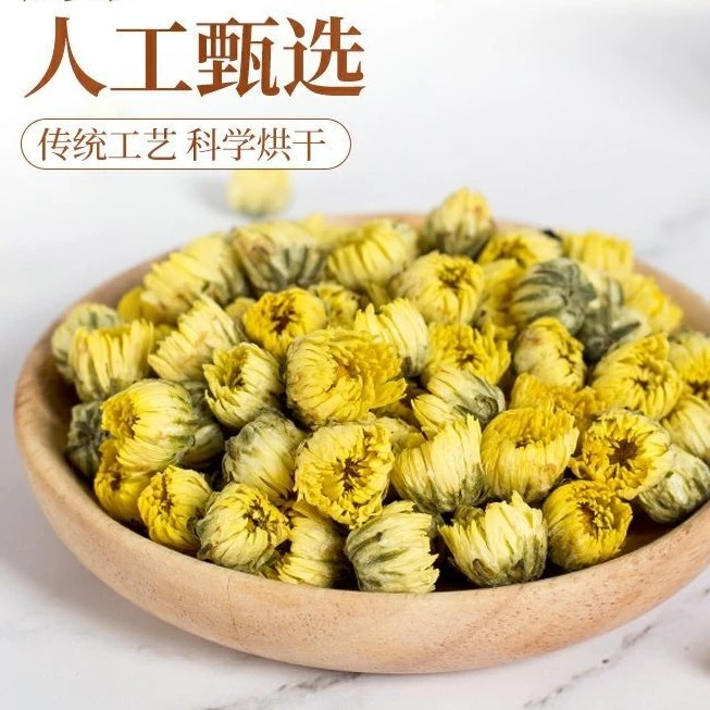 【大橙子专属】胎菊花新菊花胎菊王