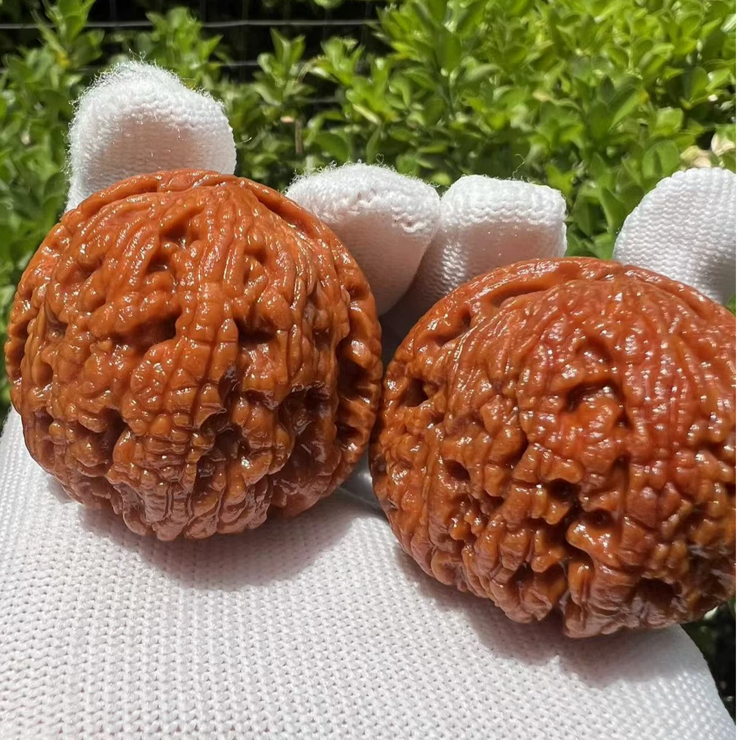 【蛤蟆背】秦岭野生文玩核桃精选配对