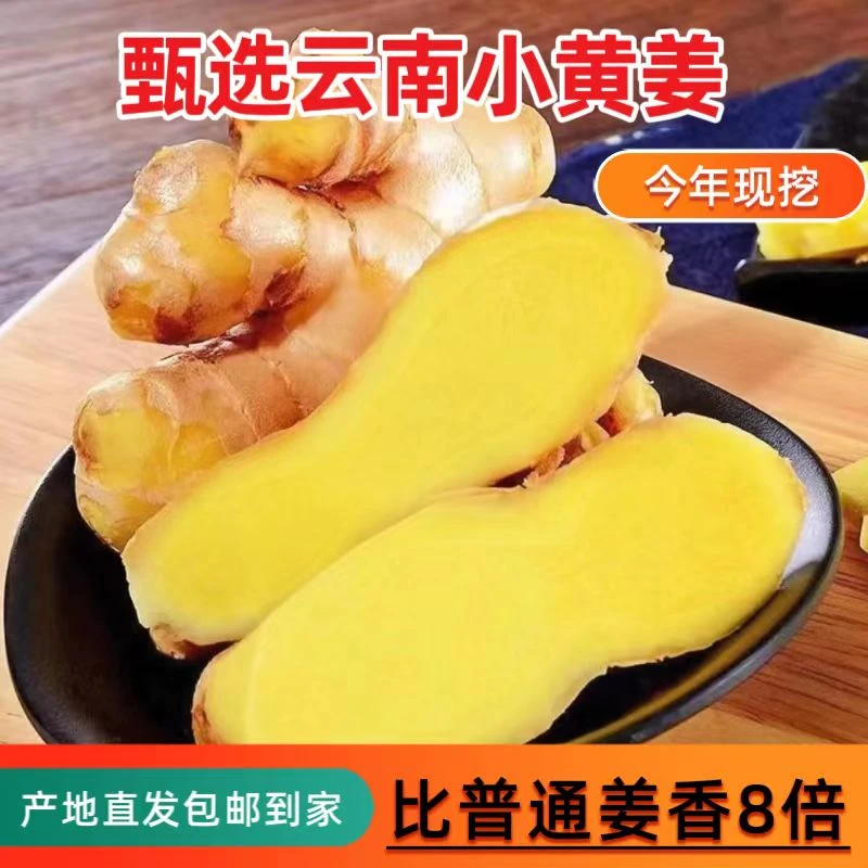 云南正宗种植小黄姜生姜老姜产地直销品质正宗小黄姜1斤3斤5斤9斤