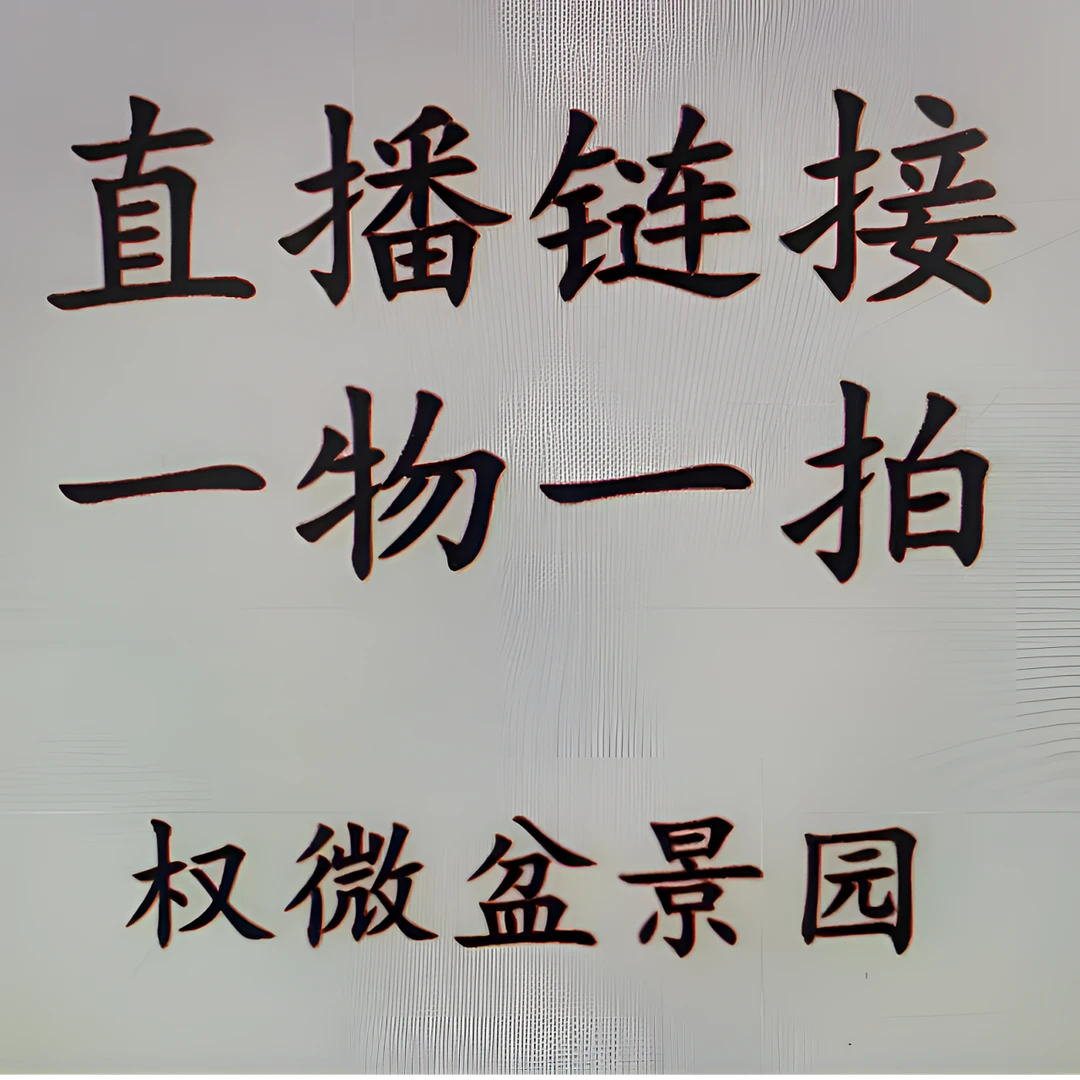 小微盆景 直播链接 一物一拍