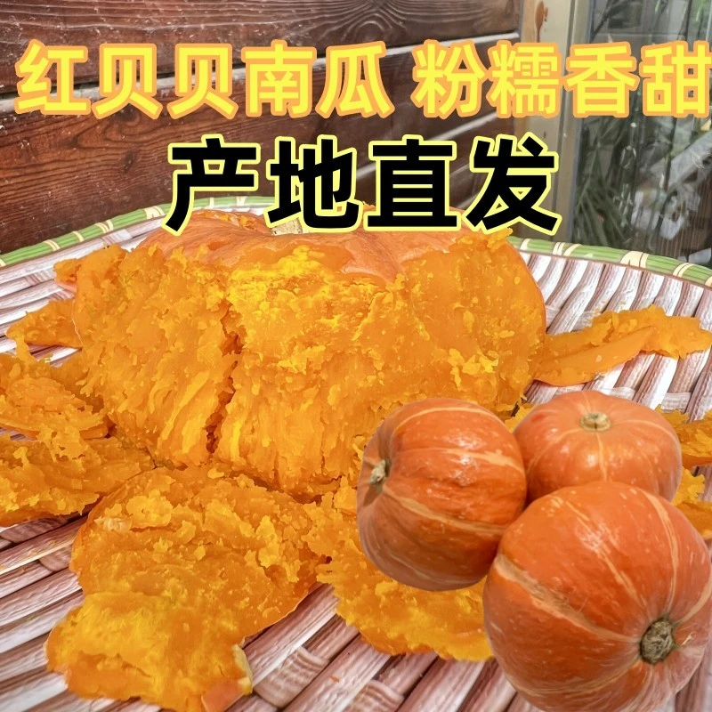 【产地直发】于胖子精选 彩色红贝贝南瓜粉糯香甜 5斤/4-11枚