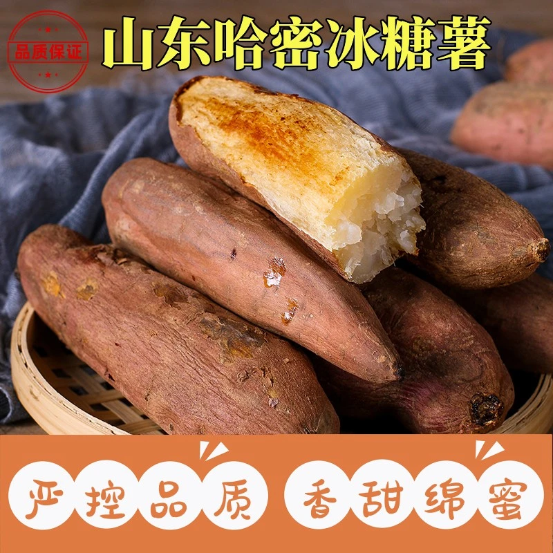 于胖子 冰糖蜜薯 哈密薯 粉糯蜜甜 可蒸可烤 4.5斤装
