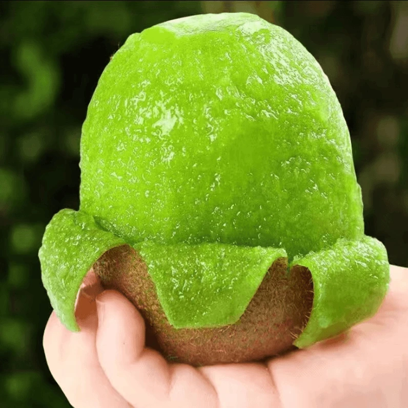 【不甜包退】正宗陜西眉县徐香绿心猕猴桃奇异果产地直发