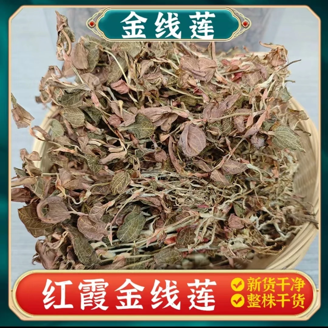 【嘉珈精选】金线连（福建红霞）食用农产品