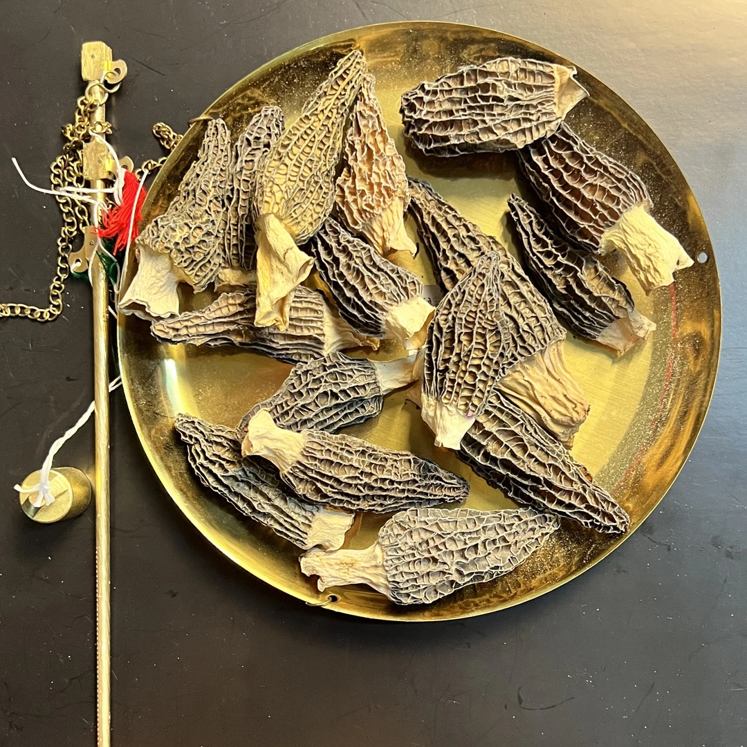 【嘉珈推荐】羊胎菌云南 农产品