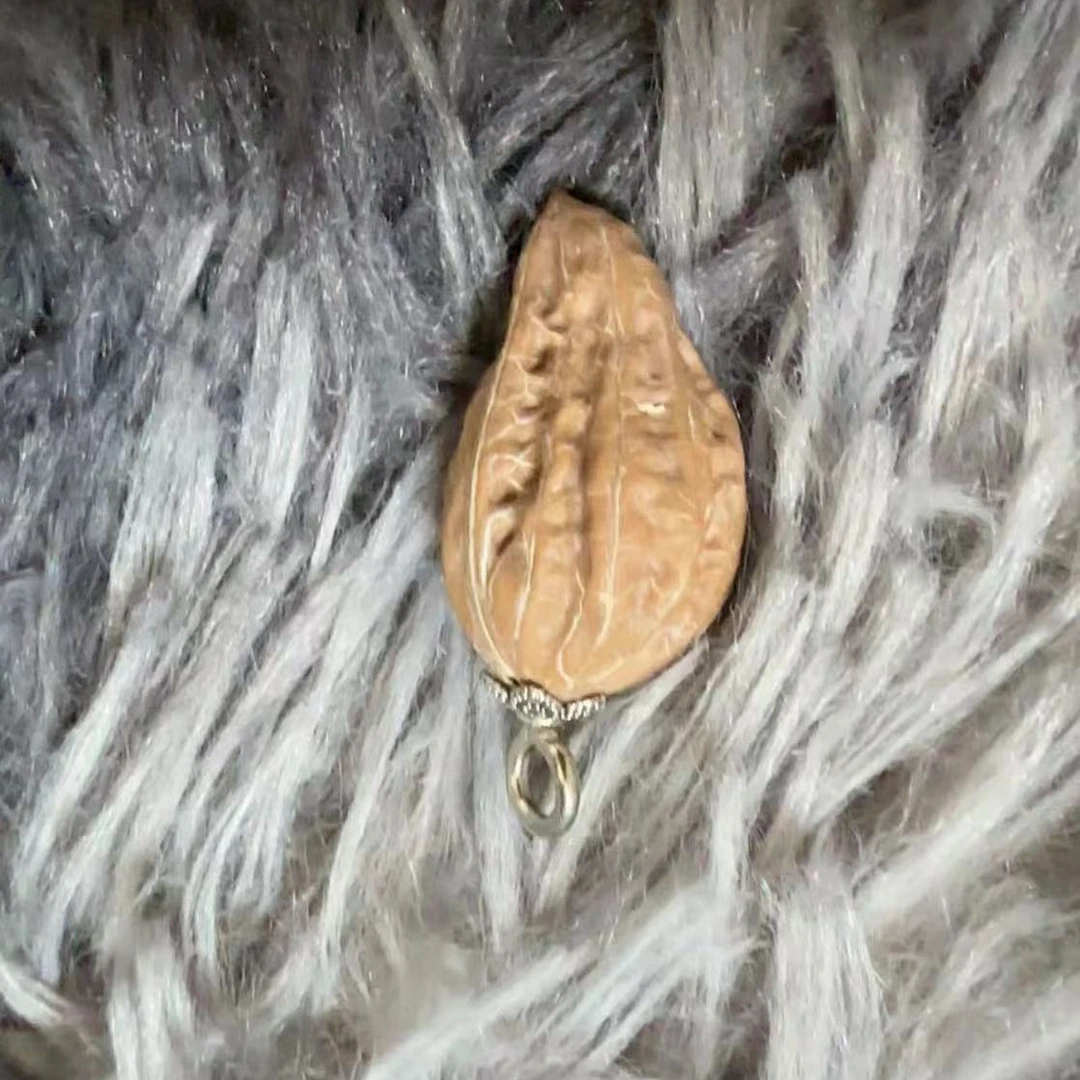 东北野生秋子随机发