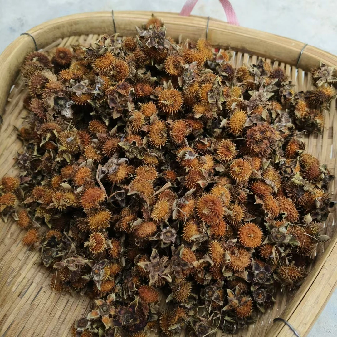 干刺梨【毕书记推荐】四川祥符本地干刺梨 自然晒干