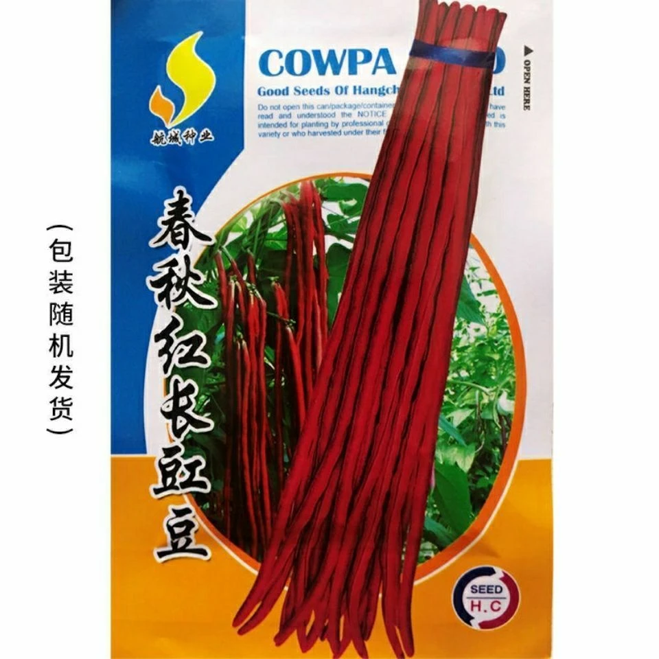 春秋红长豇豆种子高产长豆角特长紫豆角缸豆种子菜豆籽早熟八月豆