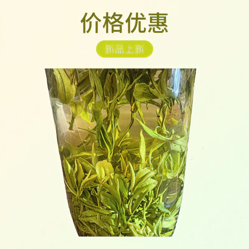 土种黄山毛峰（山小茶园4）