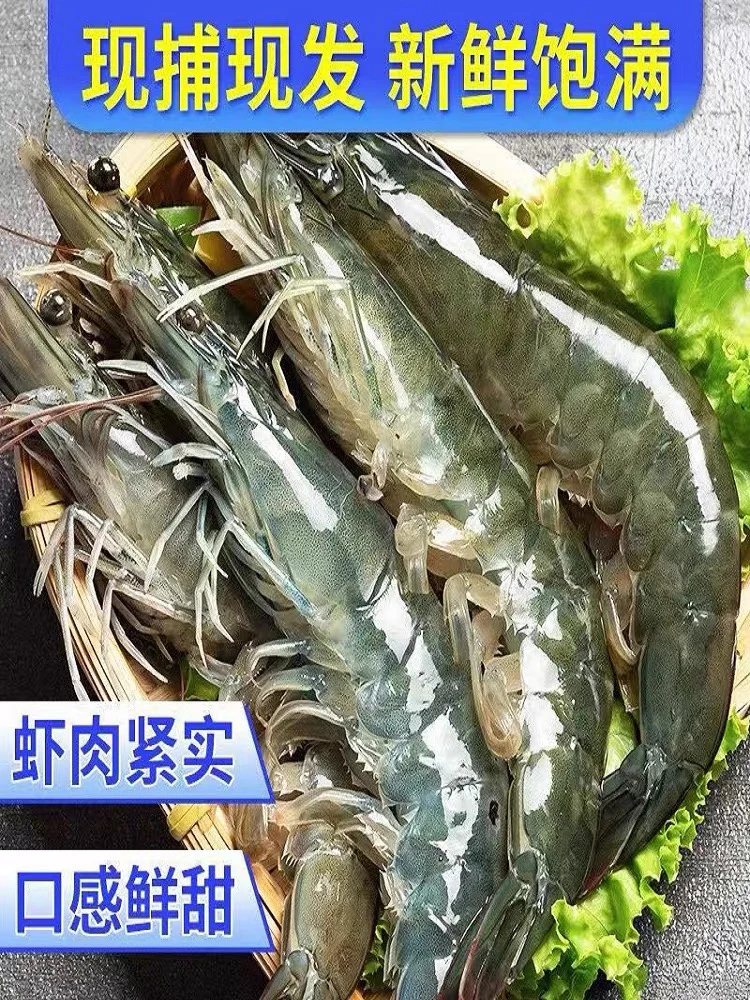 2030规到手4斤海捕大号虾  1斤10到15只左右1盒50只左右