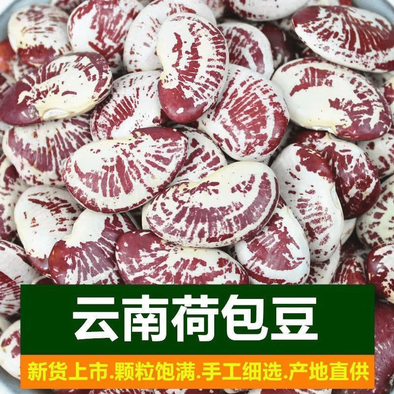 新鲜荷包豆状元豆富贵豆花纹斑马豆耳豆煲汤煮粥五谷杂粮粗粮