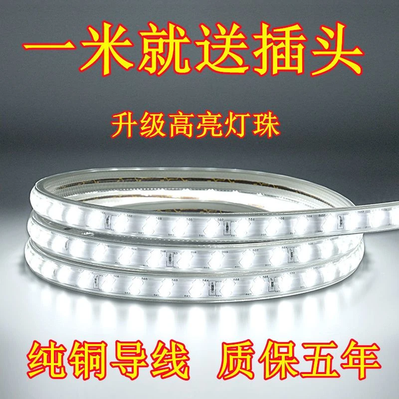 led灯带220v超高亮户外防水防冻专用照明家用室内吊顶一米送插头