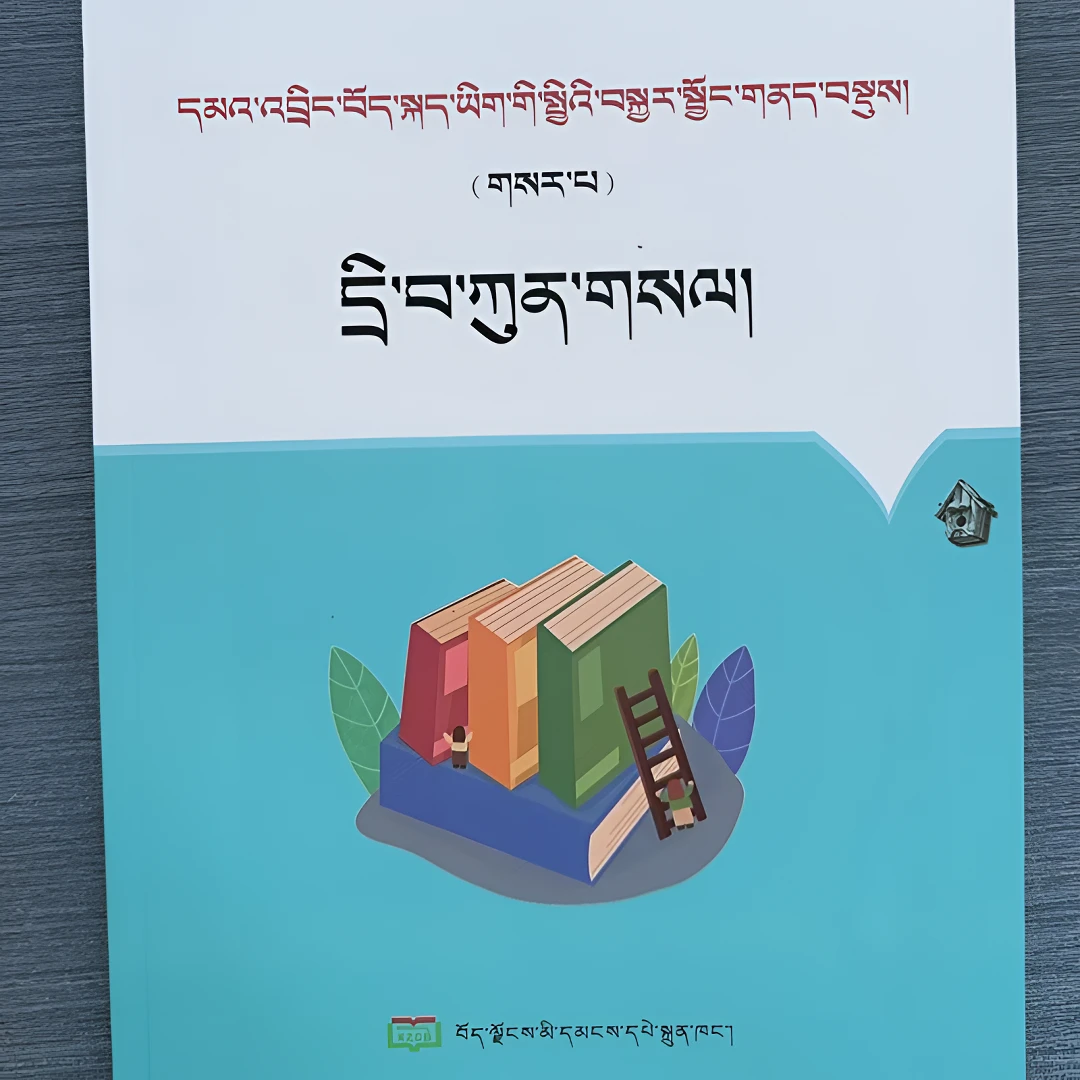 初中藏语文总复习