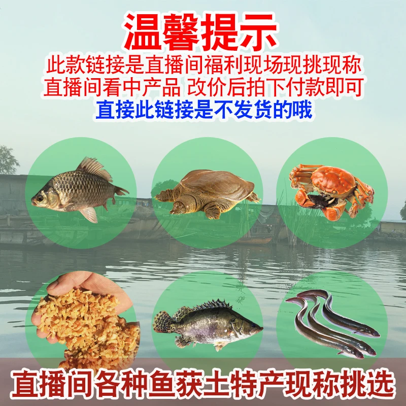 现称改价拍下，各种淡水鱼获实物直播间现称现拍鲜活宰杀 一物一拍