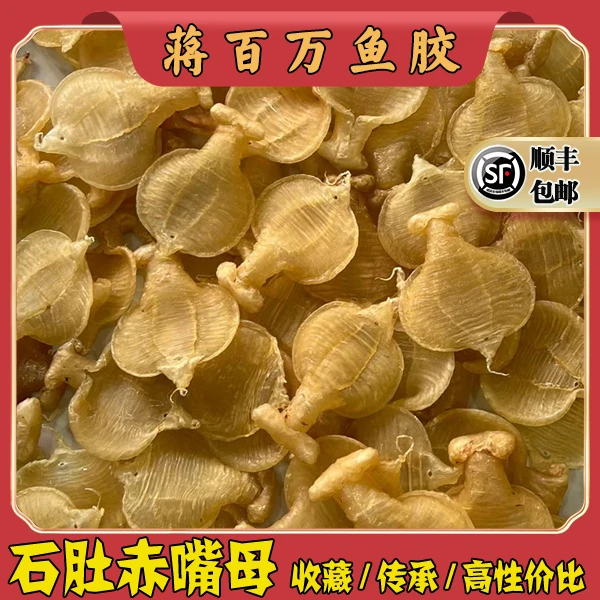广东 蒋百万石肚赤嘴母鱼胶1-500g（直播间现称花胶）
