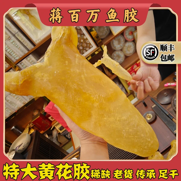 广东蒋百万黄花鱼胶筒 日常吃