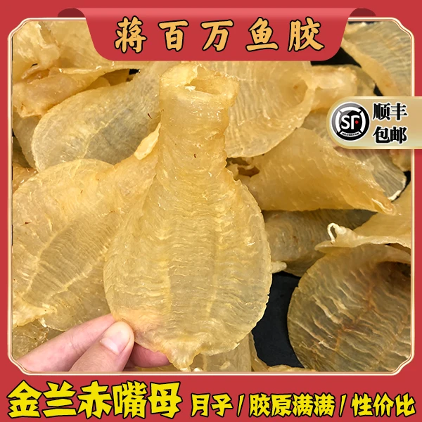 广东蒋百万 金兰赤嘴母片1-500g（直播间现称花胶）