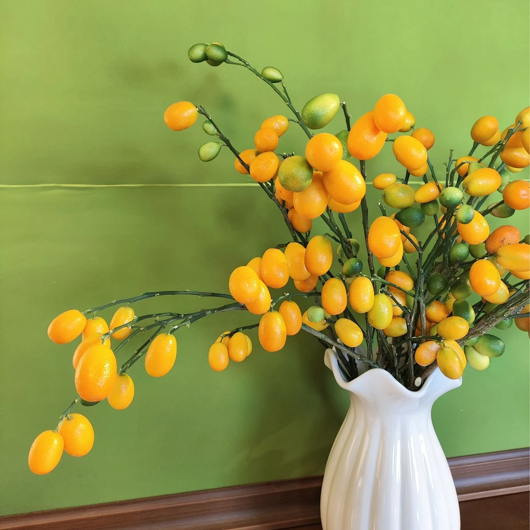 迷你小金豆丨年宵花迷你小金桔水培鲜切丨家居节日氛围