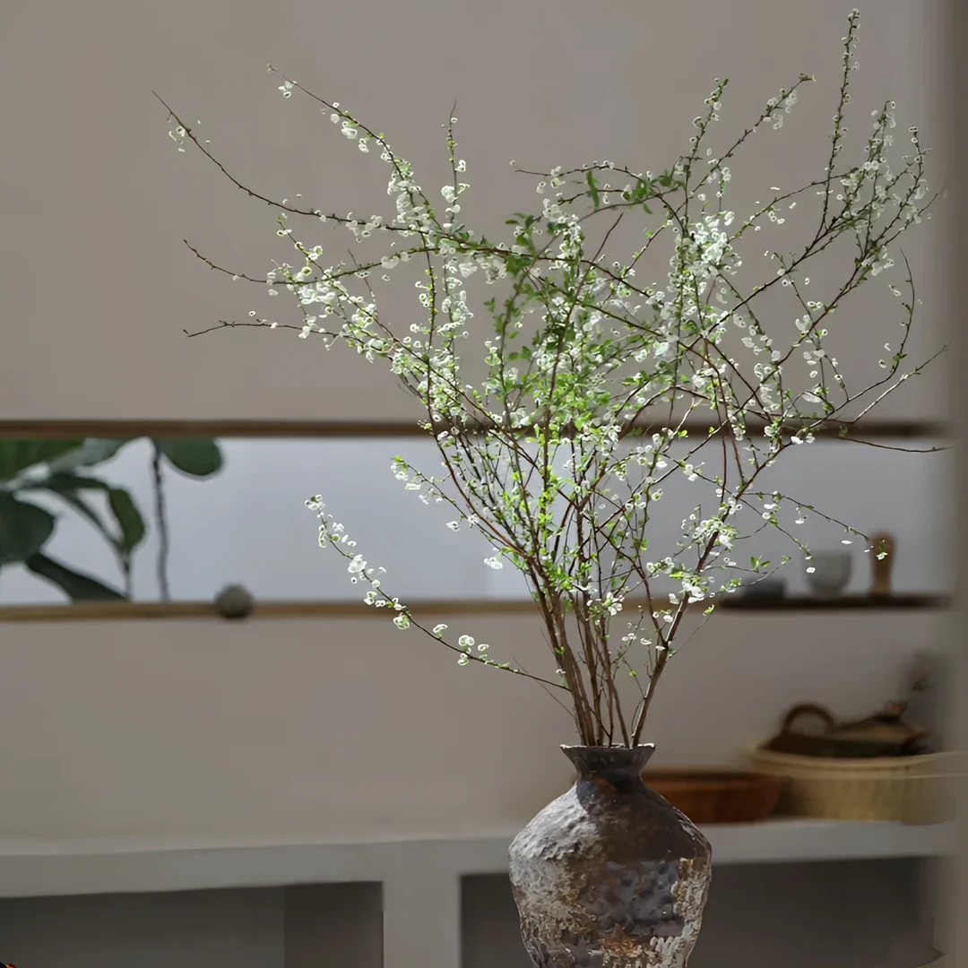 【花本家】AAA级雪柳丨带芽苞丨唯美带冬季养护展示鲜枝星花怒放