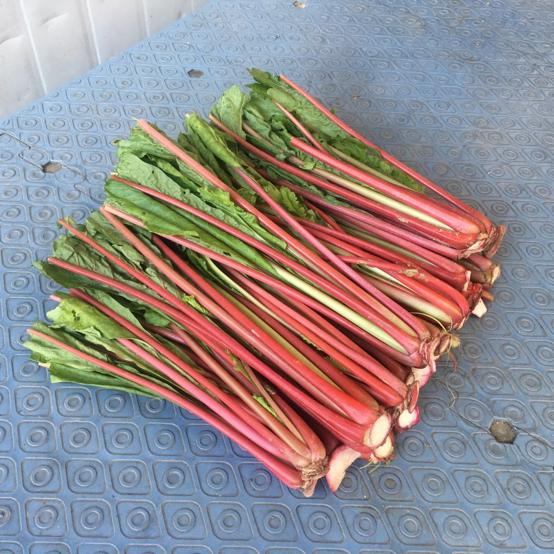 萝卜缨子新鲜蔬菜萝卜杆红皮萝卜梗子可腌制泡酸菜萝卜杆2000g