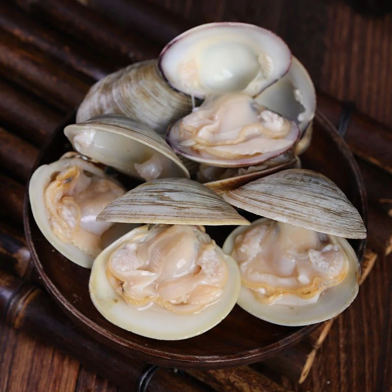 连云港发货鲜活海捕大蛤蜊  5斤