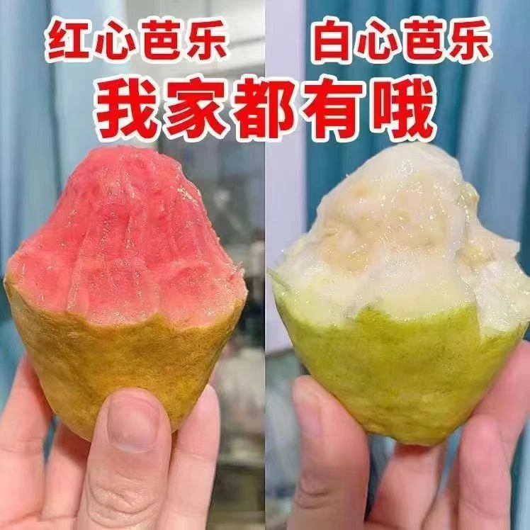 【红白心芭乐】广西软心红心芭乐白心番石榴大果软糯新鲜应季水果