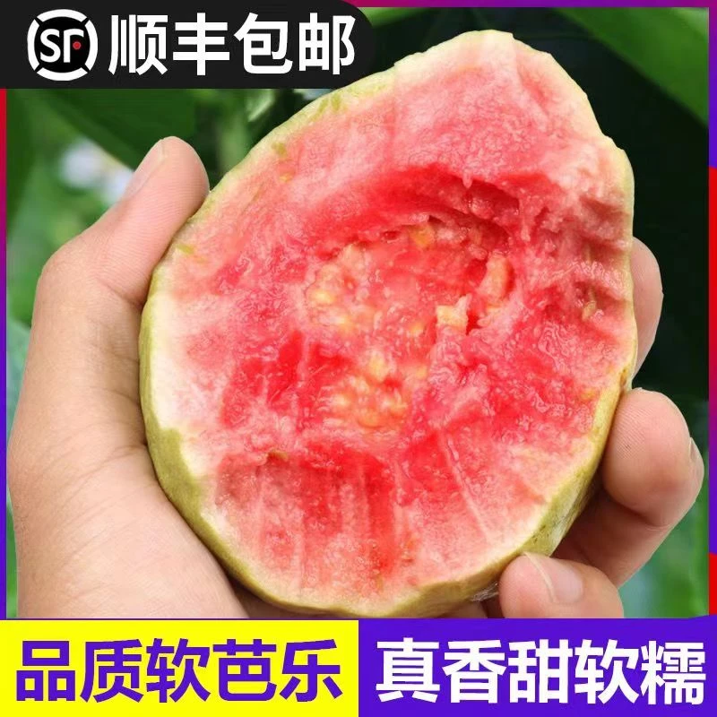 顺丰包邮广西软心甜脆红心番石榴香软芭乐红软糯鸡屎果香甜饱满