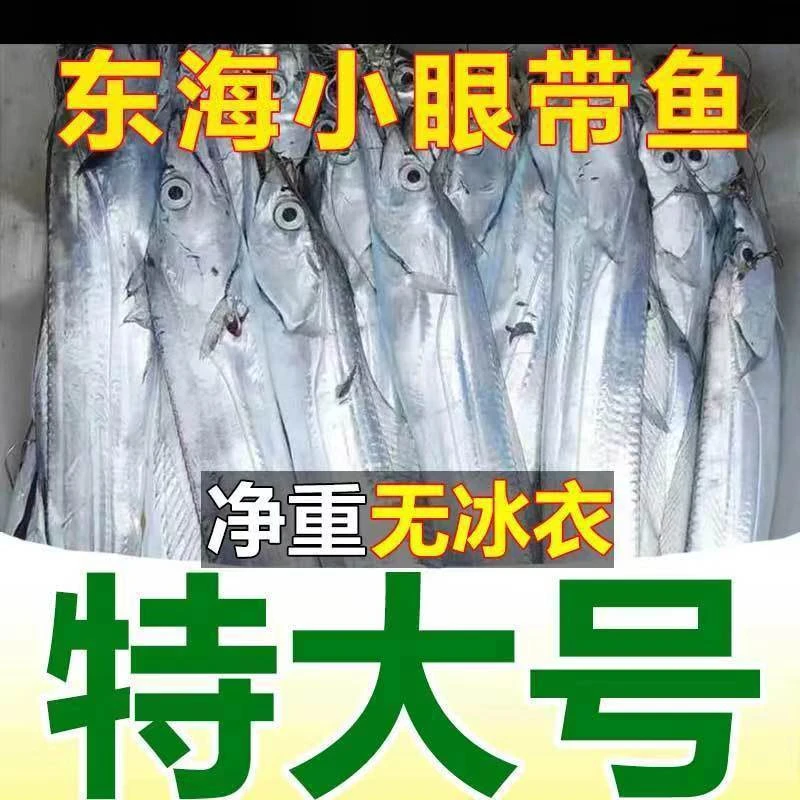 【特大号】带鱼整条东海小眼带鱼正宗带鱼刀鱼带鱼一整箱海鲜