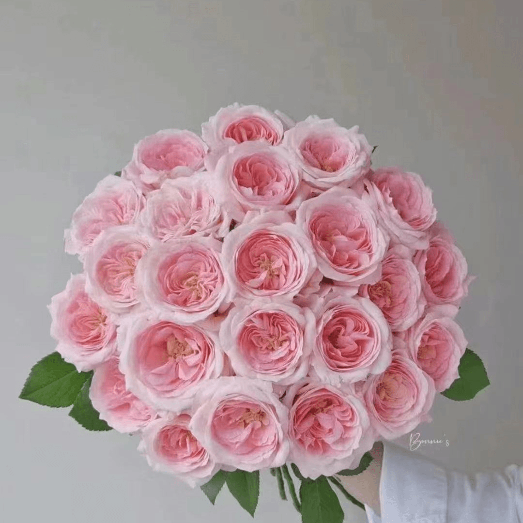 云南鲜花基地直发保质保量包售后发顺丰冷链