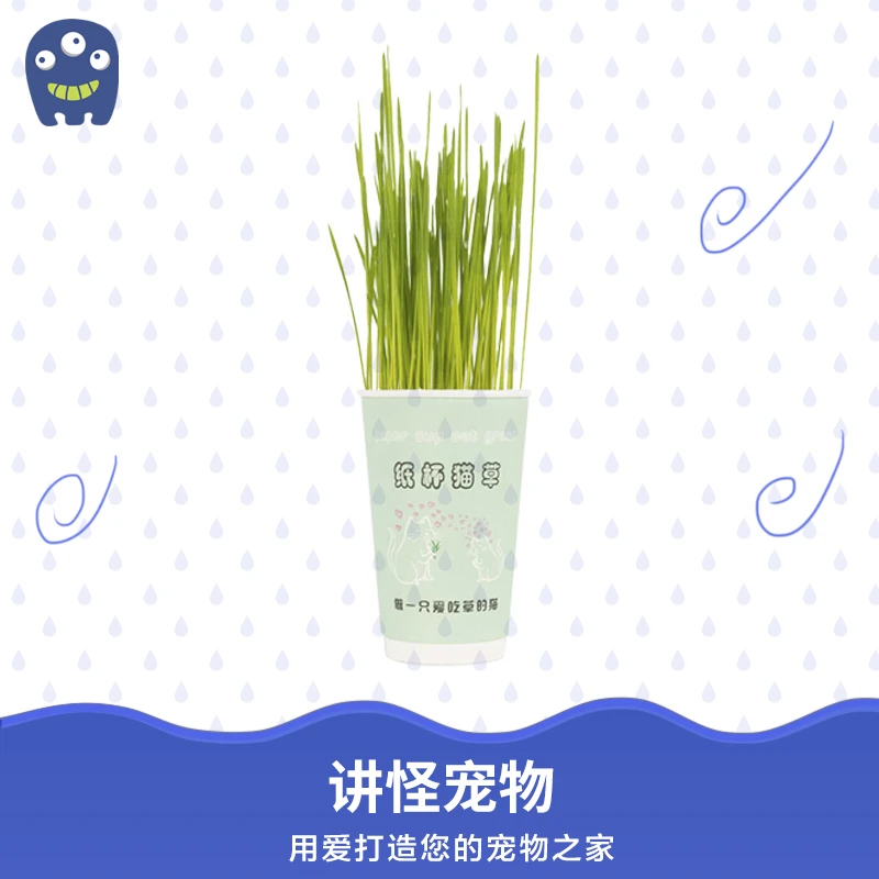 猫草杯奶茶杯优选快速去毛球助消化猫草种植宠物猫咪手工营养
