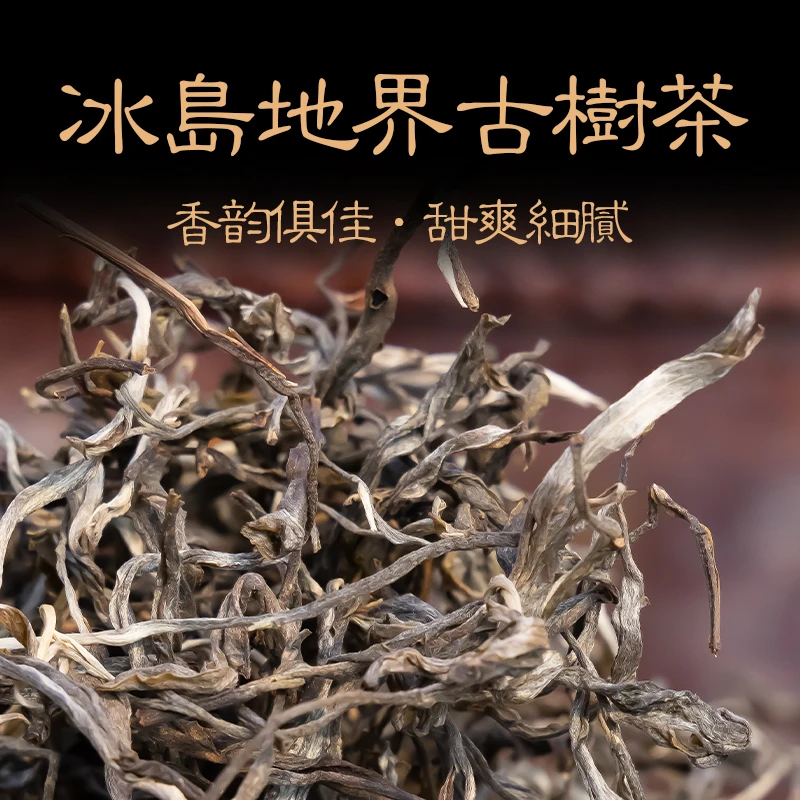 （头哥盯采盯炒）2024年冰岛地界古树头春头采生普普洱散茶礼盒