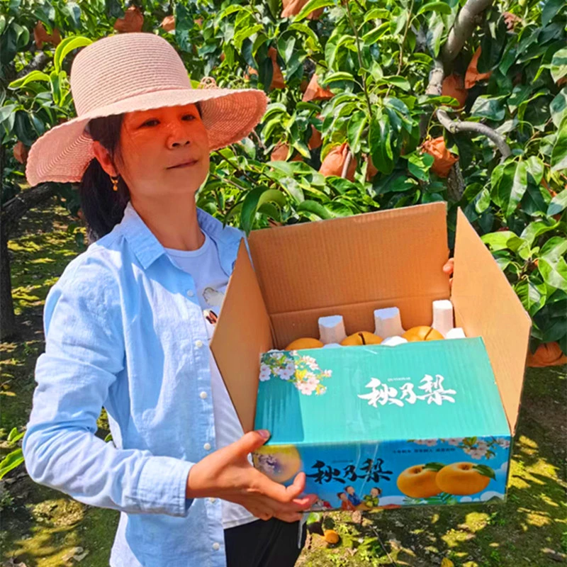 山东正宗秋月梨梨子脆甜多汁水果现摘脆酥脆香甜脆爽箱装新鲜多汁