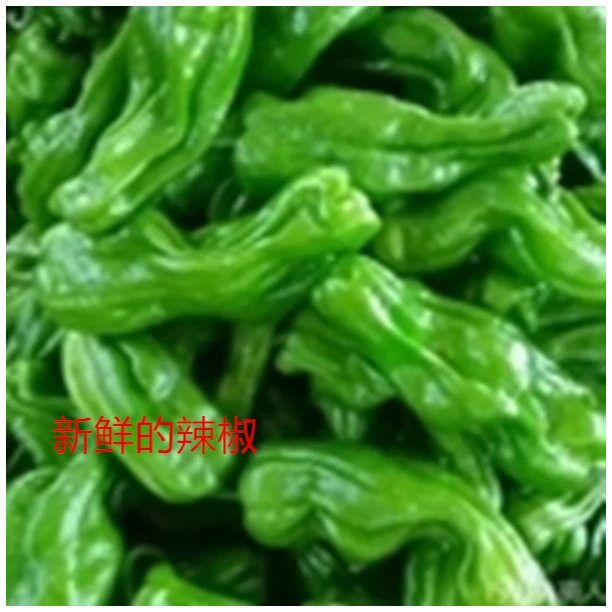 山东薄皮辣椒现摘现发新鲜发货现摘现发菜园直达