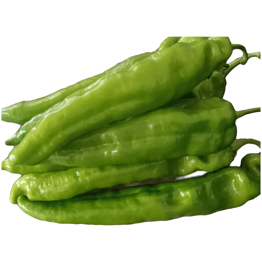 山东大棚尖椒辣椒青椒虎皮青椒新鲜基地种植现摘现发青椒炒肉